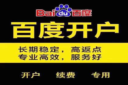 百度信息流广告的成功案例分析